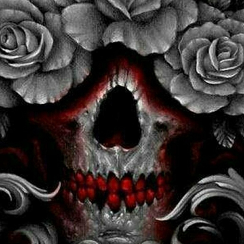 Meet your Posher, Ilsa